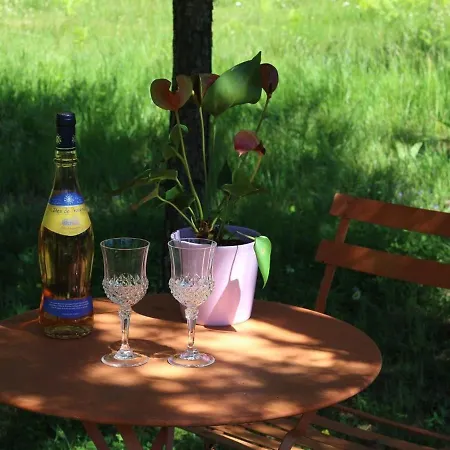 Nature Au Chambon-sur-lignon: Terrasse, Wifi, Proche Activites Et Commerces - Fr-1-582-137 Holiday home