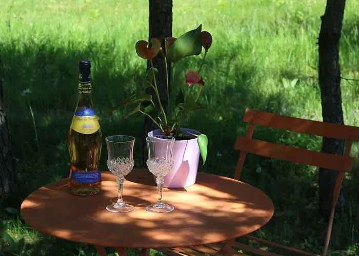 Nature Au Chambon-sur-lignon: Terrasse, Wifi, Proche Activités Et Commerces - Fr-1-582-137 Hébergement de vacances