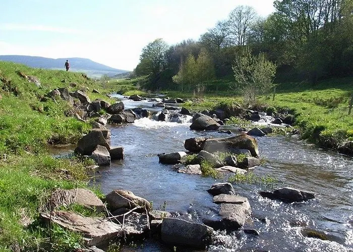 Nature Au Chambon-sur-lignon: Terrasse, Wifi, Proche Activités Et Commerces - Fr-1-582-137 Le Chambon-sur-Lignon