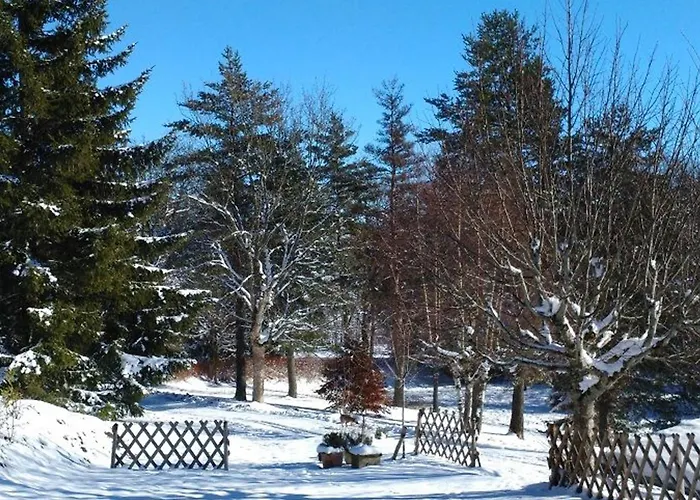 Nature Au Chambon-sur-lignon: Terrasse, Wifi, Proche Activités Et Commerces - Fr-1-582-137 * Le Chambon-sur-Lignon