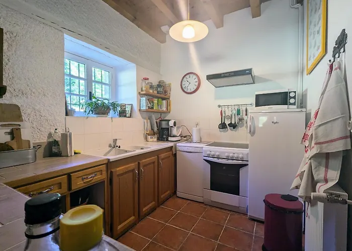 Hébergement de vacances Nature Au Chambon-sur-lignon: Terrasse, Wifi, Proche Activités Et Commerces - Fr-1-582-137 *