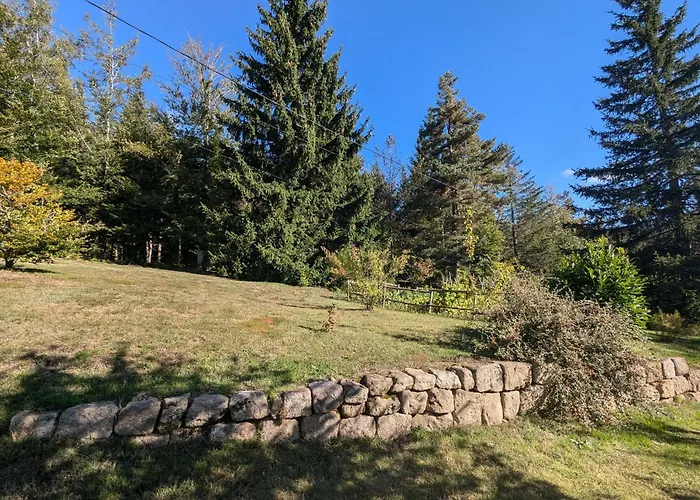 Hébergement de vacances Nature Au Chambon-sur-lignon: Terrasse, Wifi, Proche Activités Et Commerces - Fr-1-582-137 Le Chambon-sur-Lignon