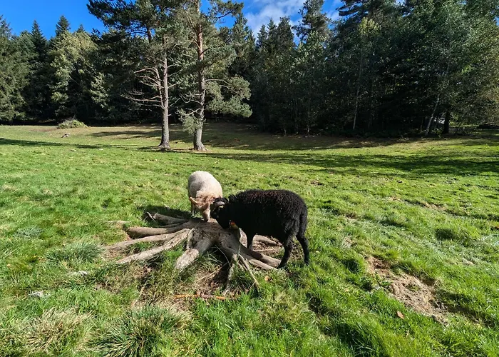 Nature Au Chambon-sur-lignon: Terrasse, Wifi, Proche Activités Et Commerces - Fr-1-582-137 Hébergement de vacances Le Chambon-sur-Lignon